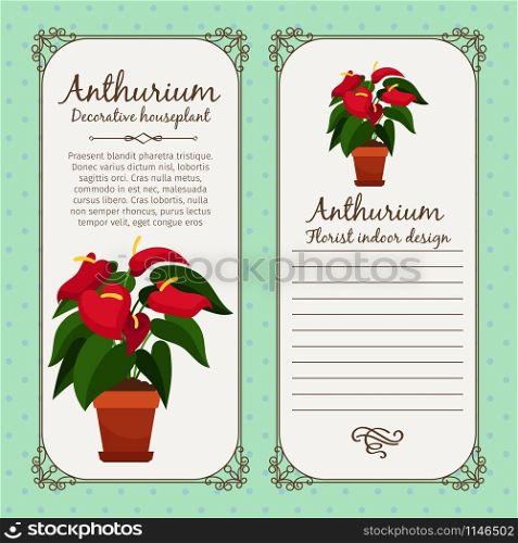Vintage label template with decorative anthurium plant in pot, vector illustration. Vintage label with anthurium plant