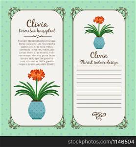Vintage label template with decorative clivia plant in pot, vector illustration. Vintage label with clivia plant