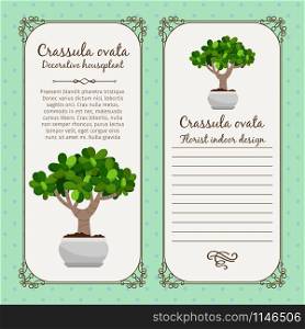 Vintage label template with decorative crassula ovata plant in pot, vector illustration. Vintage label with crassula ovata plant