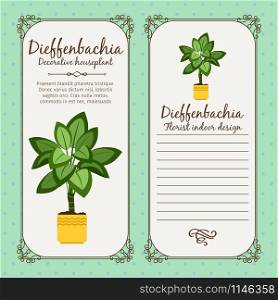 Vintage label template with decorative dieffenbachia plant in pot, vector illustration. Vintage label with dieffenbachia plant