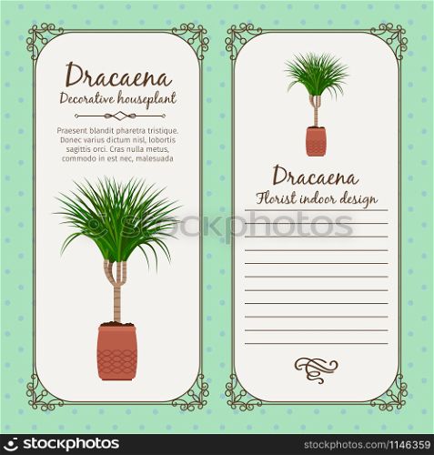 Vintage label template with decorative dracaena plant in pot, vector illustration. Vintage label with dracaena plant