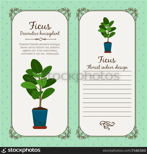 Vintage label template with decorative ficus plant in pot, vector illustration. Vintage label with decorative ficus plant