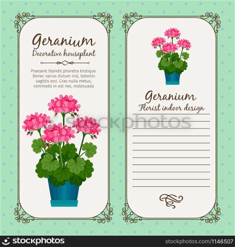 Vintage label template with decorative geranium plant in pot, vector illustration. Vintage label with geranium plant