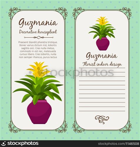 Vintage label template with decorative guzmania plant in pot, vector illustration. Vintage label with guzmania plant