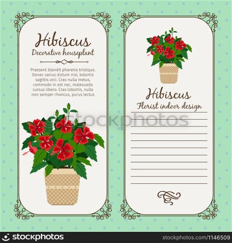 Vintage label template with decorative hibiscus plant in pot, vector illustration. Vintage label with hibiscus plant