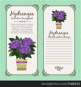 Vintage label template with decorative hydrangea plant in pot, vector illustration. Vintage label with hydrangea plant