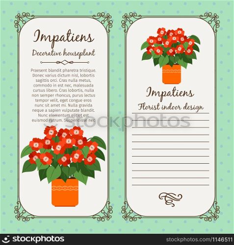 Vintage label template with decorative impatiens plant in pot, vector illustration. Vintage label with impatiens plant