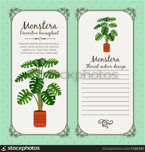 Vintage label template with decorative monstera plant in pot, vector illustration. Vintage label with monstera plant