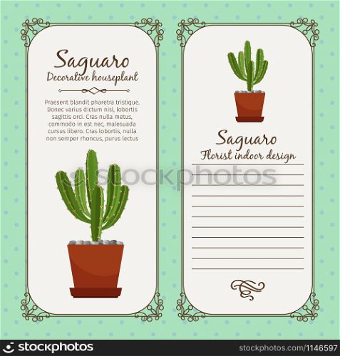 Vintage label template with decorative saguaro plant in pot, vector illustration. Vintage label with saguaro plant