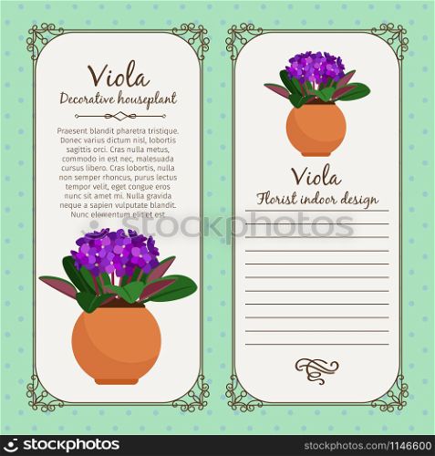 Vintage label template with decorative viola plant in pot, vector illustration. Vintage label with viola plant