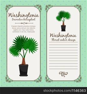Vintage label template with decorative washingtonia plant in pot, vector illustration. Vintage label with washingtonia plant