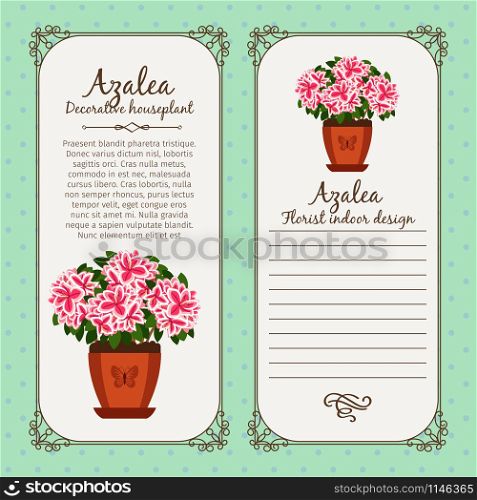 Vintage label template with potted flower azalea, vector illustration. Vintage label with potted flower azalea