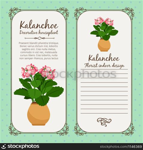 Vintage label template with potted flower kalanchoe, vector illustration. Vintage label with potted flower kalanchoe