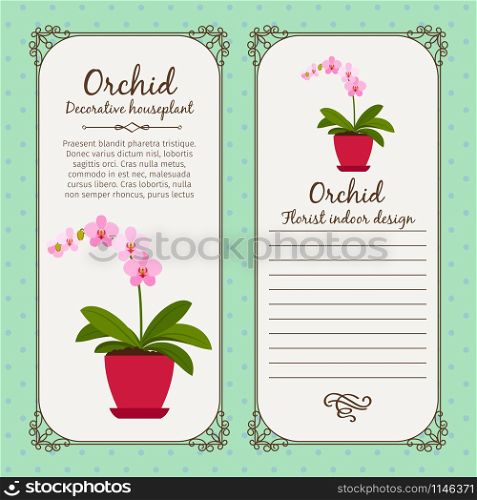 Vintage label template with potted flower orchid, vector illustration. Vintage label with flower orchid
