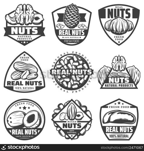 Vintage monochrome natural nuts labels set with walnut pecan hazelnut coconut peanut almond cashew pine brazil nuts isolated vector illustration. Vintage Monochrome Natural Nuts Labels Set