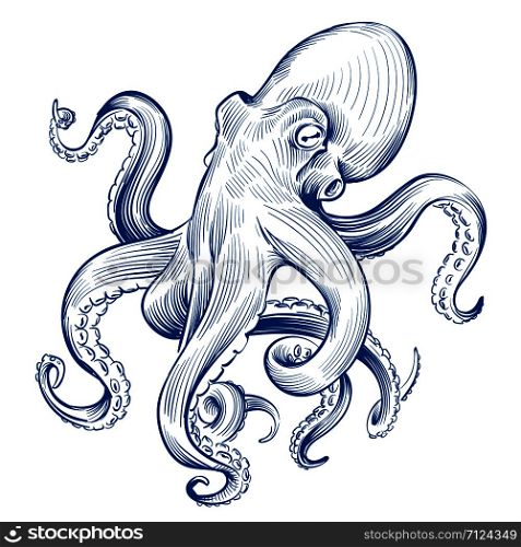 Vintage octopus. Hand drawn squid engraved ocean animal. Etching octopus vector illustration. Squid octopus animal, marine seafood. Vintage octopus. Hand drawn squid engraved ocean animal. Etching octopus vector illustration