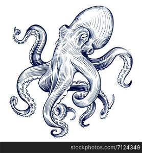 Vintage octopus. Hand drawn squid engraved ocean animal. Etching octopus vector illustration. Squid octopus animal, marine seafood. Vintage octopus. Hand drawn squid engraved ocean animal. Etching octopus vector illustration