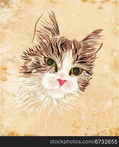 vintage portrait of the cat