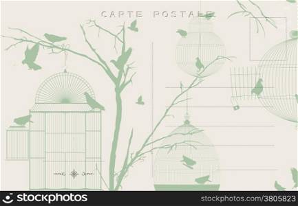 Vintage postcard with birds and bird cages