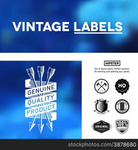 Vintage premium labels set tile structured on blurred background