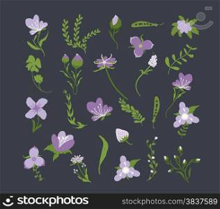 vintage purple floral set