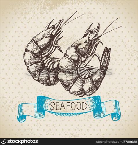 Vintage sea background. Hand drawn sketch seafood vector illustration of shrimps