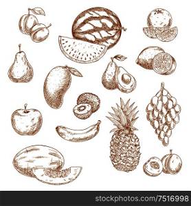 Vintage sketches of whole and halved fresh garden and tropical fruits with bunch of grape, orange, lemon, apple, peach, pear, mango, avocado, banana, pineapple, kiwi, watermelon, plum and melon. Retro drawing icons for recipe book, vegetarian menu, agriculture design. Whole and halved fresh fruits vintage sketch icons