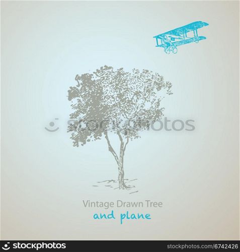 vintage tree and plane