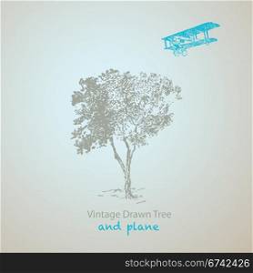 vintage tree and plane