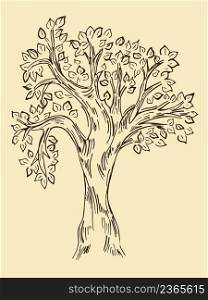 Vintage tree sketch vector illustration. Deciduous tree retro style. Simple drawing hand engraving isolated object