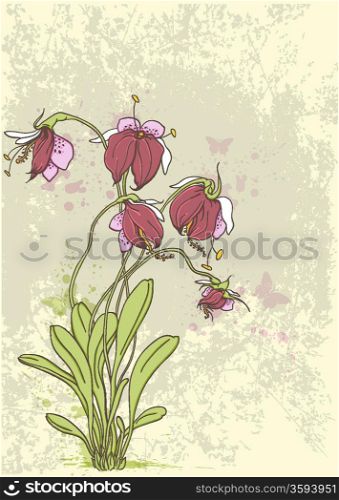 Vintage vector background with red orchids