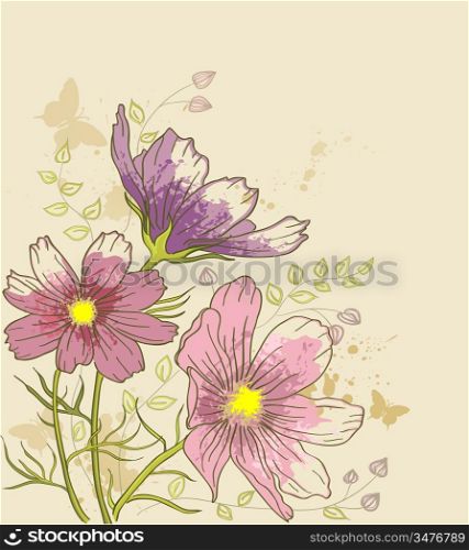 vintage vector floral background with cosmos flowers