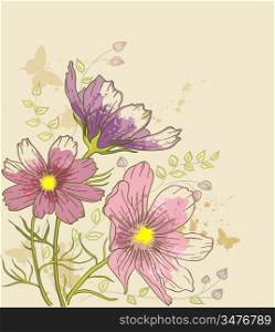 vintage vector floral background with cosmos flowers