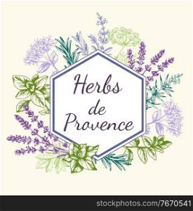 Vintage vector hand drawn background with Provencal spices and herbs. Decorative floral frame