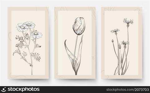 Vintage wedding card template. Floral banners, posters with flowers. Tulip chamomile, wild meadow plants vector background. Floral card invitation, vintage wedding banner. Vintage wedding card template. Floral banners, posters with flowers. Tulip chamomile, wild meadow plants vector background
