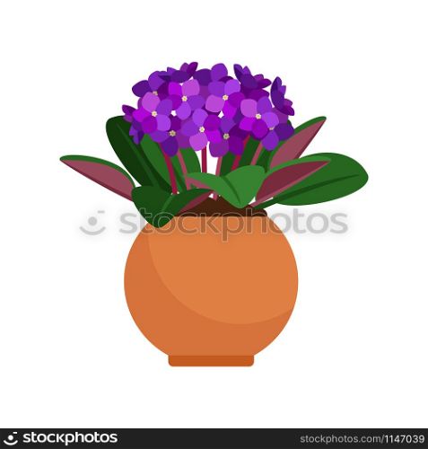 Viola house plant in flower pot, vector icon on white background. Viola house plant in flower pot