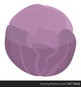 Violet cabbage icon. Isometric of violet cabbage vector icon for web design isolated on white background. Violet cabbage icon, isometric style