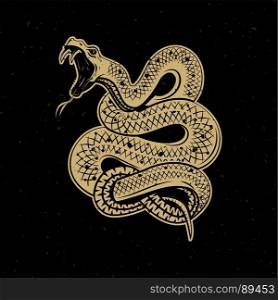 Viper snake illustration on dark background. Design element for poster, emblem, sign. Vector illustration