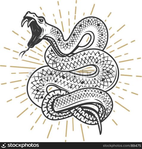 Viper snake illustration on white background. Design element for poster, emblem, sign. Vector illustration