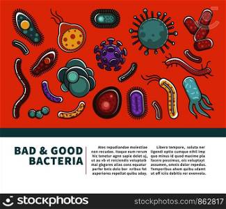 Viruses and bacteria information poster for medical healthcare infographics or bacteriology science. Vector flat design for viral disease or bacteria infection prevention and biology study. Viruses medical or healthcare and bacteriology science vector flat poster design