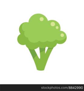 Vitamin brocoli icon flat vector. Broccoli cabbage. Salad plant isolated. Vitamin brocoli icon flat vector. Broccoli cabbage