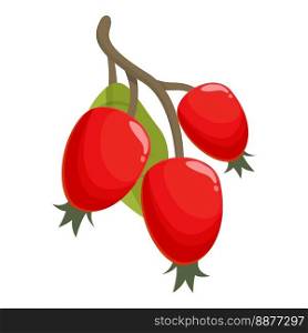 Vitamin rosehip icon cartoon vector. Berry food. Fruit red. Vitamin rosehip icon cartoon vector. Berry food