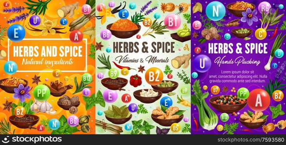 Vitamins in herbs, spices and seasonings natural ingredients. Vegetables and condiments, thyme and basil, ginger and cumin, vanilla, anise star and rosemary, pepper and cinnamon, garlic vector banners. Healthy vitamins in condiments, herbs and spices