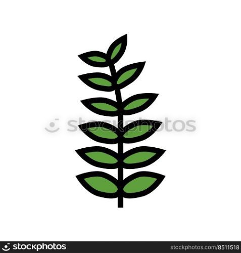 walnut leaf color icon vector. walnut leaf sign. isolated symbol illustration. walnut leaf color icon vector illustration