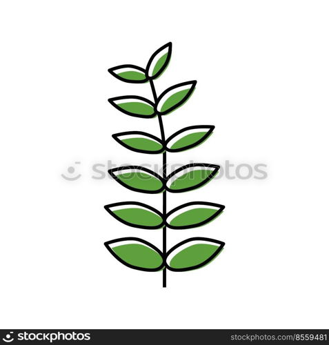 walnut leaf color icon vector. walnut leaf sign. isolated symbol illustration. walnut leaf color icon vector illustration