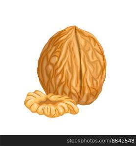 walnut nut cartoon. food ingredient, seed closeup, snack raw, healthy, brown kernel, natural organic walnut nut vector illustration. walnut nut cartoon vector illustration