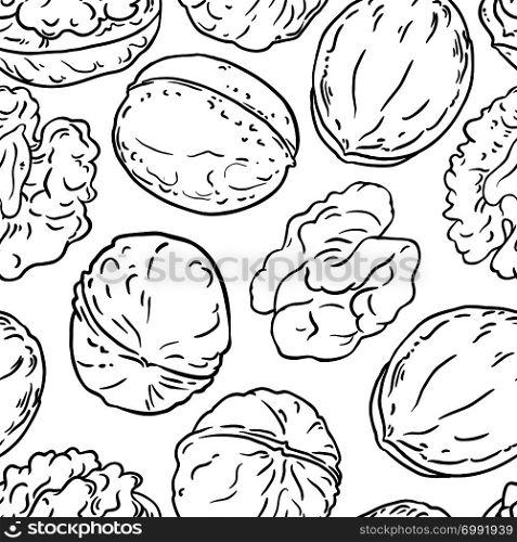 walnut nuts vector pattern on white background