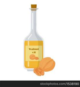 Walnut oil bottle and nuts in shell. Isolated decanter with food oil vector illustration. Organic liquid on white background.