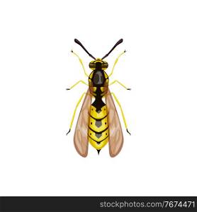 Wasp icon, pest control insect parasite, hornet vector isolated. Pest control disinsection, disinfection and extermination symbol, agriculture insects pesticide disinfestation. Wasp icon, pest control insect parasite, hornet