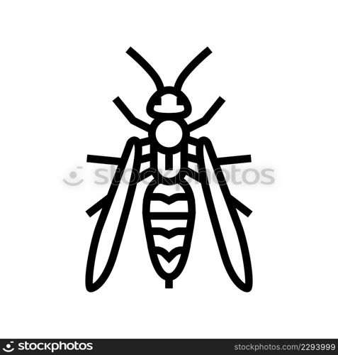 wasp insect line icon vector. wasp insect sign. isolated contour symbol black illustration. wasp insect line icon vector illustration